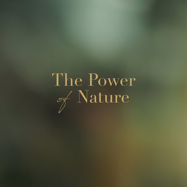 THE POWER OF NATURE