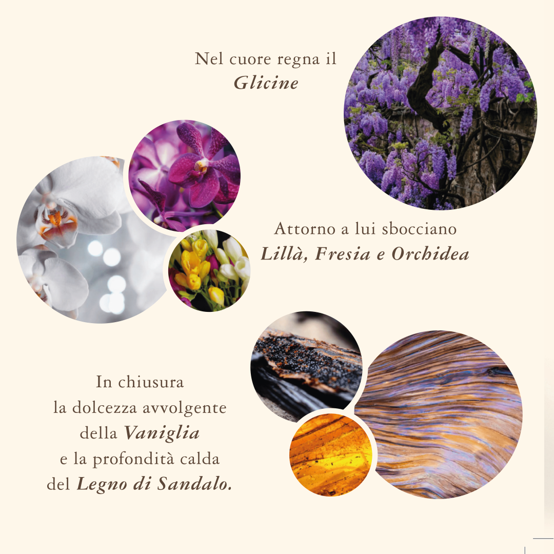 Semino d'Amore Fragranza 100 ml